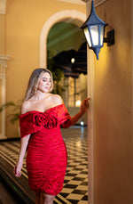 Cargar imagen en el visor de galería, AMAPOLA Dress