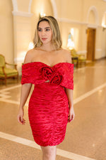 Cargar imagen en el visor de galería, AMAPOLA Dress