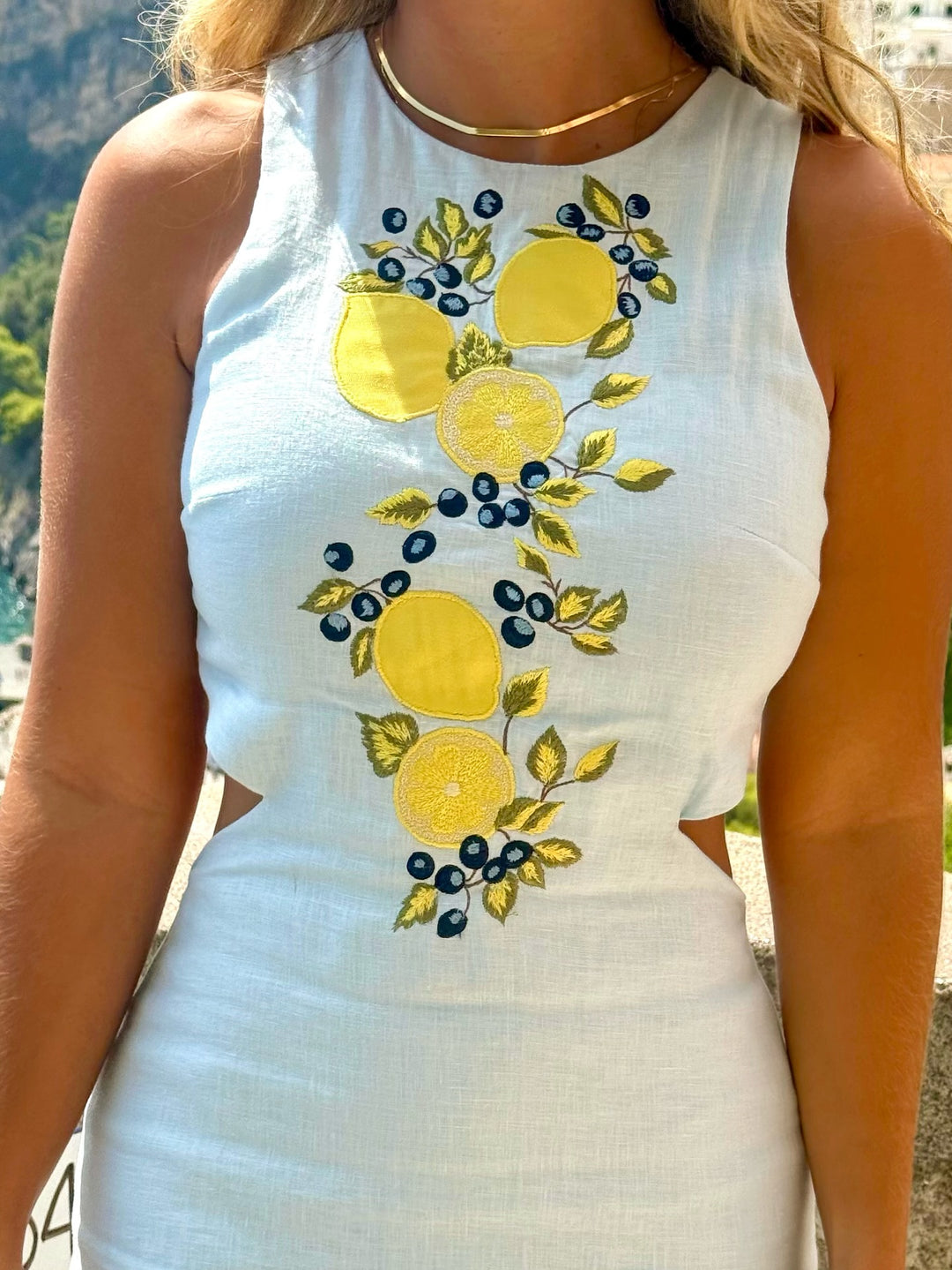 Positano Dress